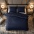 grok-image-a8d24c6e-c8e3-4119-bd06-831488b05ad1 (2).png